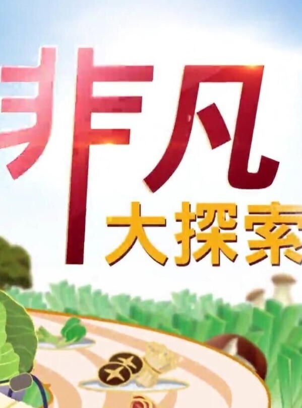 精品偷拍美女被操的满口淫语大叫喜欢你操我鸡巴又粗又长把我小骚逼都操开了好痒啊 - 9cao